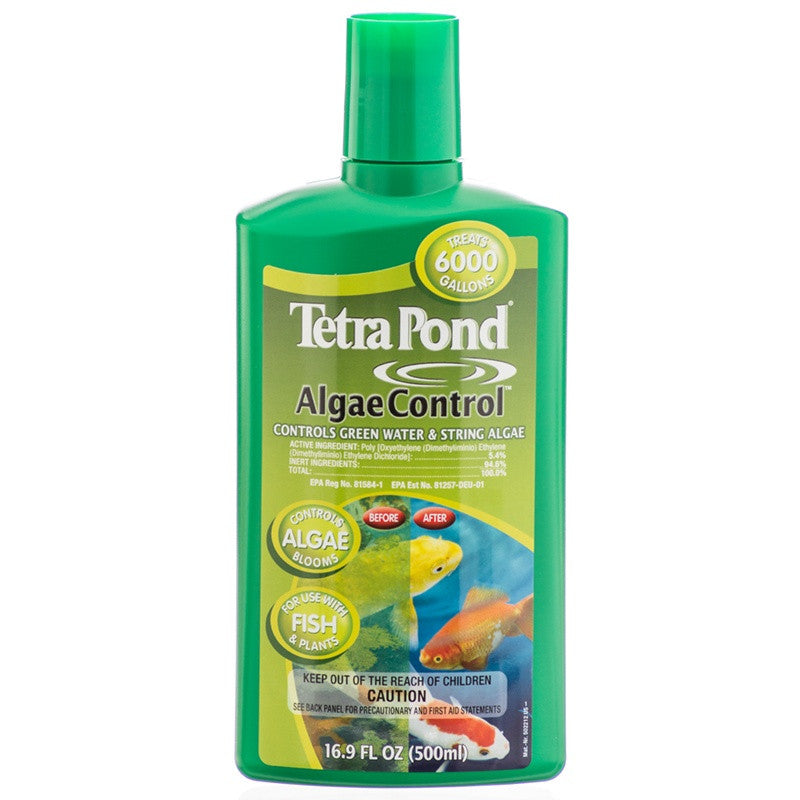 Best Pond Algae Remover