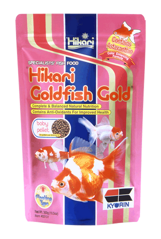 Hikari Goldfish